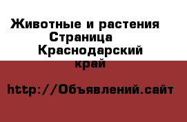  Животные и растения - Страница 2 . Краснодарский край